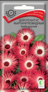 Доротеантус маргаритковидный  Бэмби красный (ЦВ) (