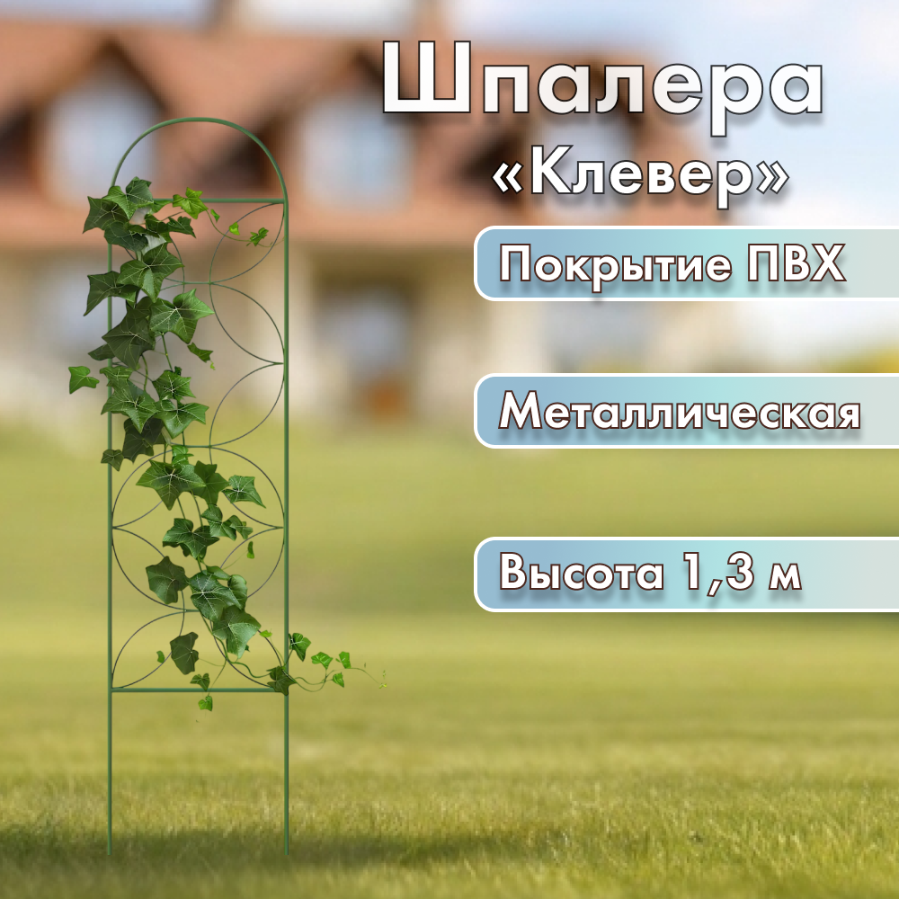 147331 2цукено