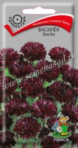 Василёк Блэк бол (ЦВ) (