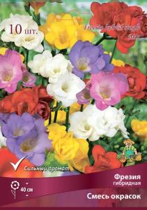 Фрезия гибридная смесь окрасок (красный,розовый,голубой,белый,жёлтый,оранжевый, 10шт, 5-6) Фрезия гибридная смесь окрасок (красный,розовый,голубой,белый,жёлтый,оранжевый, 10шт, 5-6)
