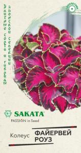 Колеус Файервей Роуз 5шт. Гавриш