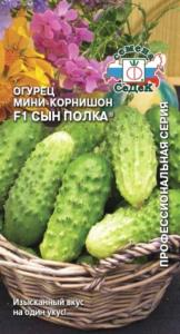 Огурец Сын полка F1 0,3гр (Седек) Огурец Сын полка F1 0,3гр (Седек)