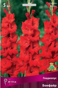 Гладиолус Бонфайр 12-14 крупн. 5шт