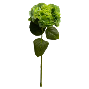 1 1