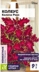 Колеус Колоча Роуз 5шт Комн 30см (Сем Алт)