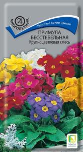 Примула Крупноцветковая бесстебельная 0,04г.Поиск