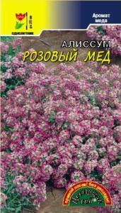 Алиссум Розовый  мед Цвет сад