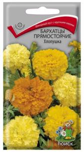 хлопушка