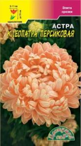Астра Клеопатра Персиковая Цвет.сад.