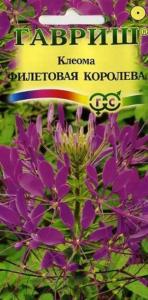 Клеома Фиолетовая королева 0,2г Одн 100см (Гавриш)