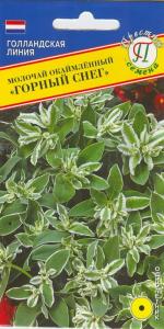 Молочай Горный снег 20шт Престиж