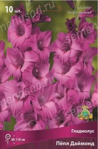 Гладиолус крупноцветковый Пепл Даймонд 10шт (пурпурно-фиолетовый, 10/12, 120см)