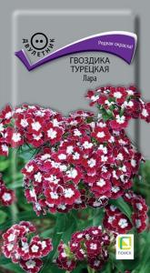 Гвоздика турецкая Лара 0,3г Дв 50см (Поиск)