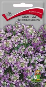 Алиссум Фиолетовая королева  (ЦВ) (