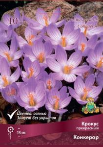 Крокус Конкэрор (ОСЕННЕЦВЕТ.) 10шт.