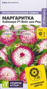 Маргаритка Хабанера F1 Вайт виз Ред 5шт Мн (Сем Алт)