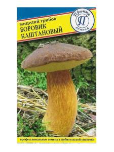 Мицелий грибов Боровик каштановый 60мл (Престиж)