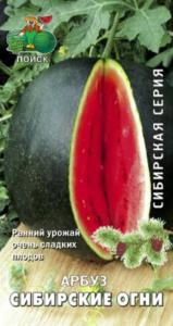 Арбуз Сибирские огни (сиб.серия) (ЦВ) 15шт. Поиск
