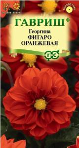 Георгина Фигаро оранжевая 7шт Одн 35см (Гавриш)