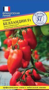 Скриншот 28-07-2026 114754