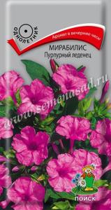 Мирабилис Пурпурный леденец 1г Поиск