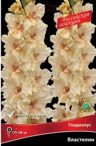 Скриншот 20-02-2025 143142