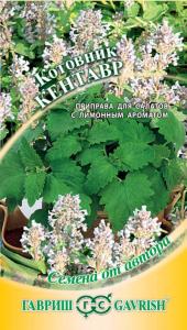 Котовник Кентавр 0,1г Ср (Гавриш) автор
