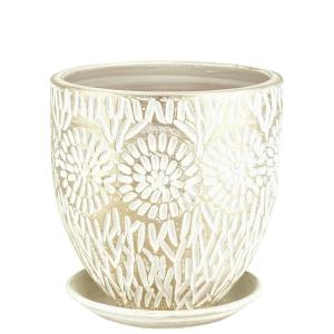 Горшок Астра бутон 2 см бел-жемчуг