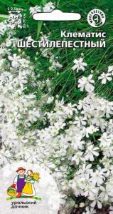 Клематис Шестилепеcтный 10шт Мн 70см (УД) Клематис Шестилепеcтный 10шт Мн 70см (УД)