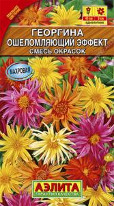 Георгина Ошеломляющий эффект,смесь окрасок Аэлита