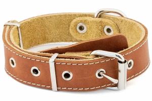 Ошейник кожаный ECO серия