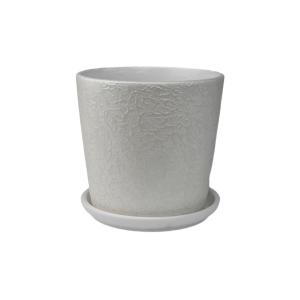 54