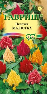 Целозия Малютка, перистая смесь,0,01г. Гавриш
