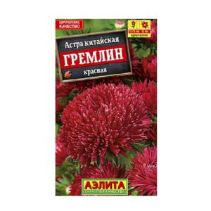 Астра Гремлин красная Аэлита