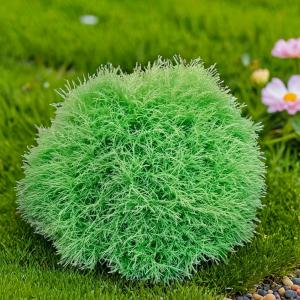 Туя западная Мистер Боулинг Болл C 7,5 20-30 1