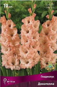 Гладиолус крупноцветковый Донателла 10шт (светло-персиковый с легким высветлением, 80-110см, 10/12)