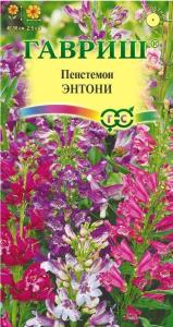 Пенстемон Энтони гибридный 0,1г Одн 50см (Гавриш)