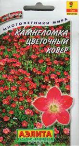 Камнеломка Цветочный ковер, Аэлита