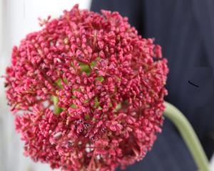 Искусственные цветы Лук декоративный в ассотр.