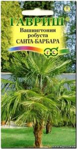 Пальма Вашингтония Санта-Барбара 3шт Н11 Гавриш