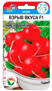 Редис Взрыв вкуса F1 1г Ранн (Сиб Сад)