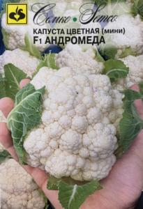 Капуста цветная Андромеда Мини F1 10шт Ранн (Семко)