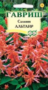 Сальвия Альтаир карлик 5шт Гавриш