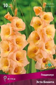 Гладиолус крупноцветковый Эста Бонита 10шт (кремово-лососевый, 10-12, h110см)