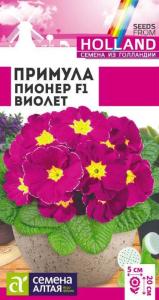 Примула Пионер Виолет 5шт 20см (Сем Алт)