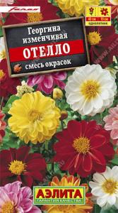 Георгина Отелло,смесь окрасок Аэлита