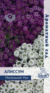 Алиссум Маленький Мук 0,3г Одн смесь 15см (Поиск) Ароматный сад