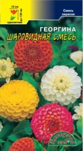 Георгина Шаровидная смесь 0.2г Одн 120см (Цвет сад)