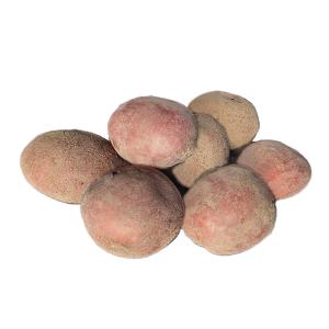 Картофель Лалу Ср Элита ЭКО сорт 20кг-2