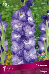 Гладиолус крупноцветковый Нори 10шт (фиолетовые с белым мазком в горле и белыми лучами, 10-12) 